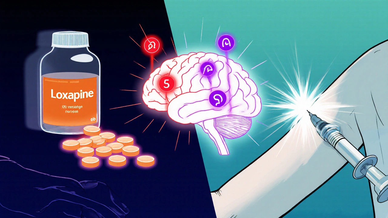 Split scene of loxapine pills and IM injection with brain showing dopamine and serotonin receptors blocked.